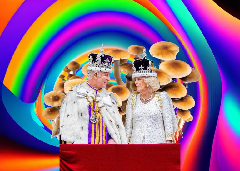 Coronation Celebration Continues With Royal Visit to Mushroom Kingdom