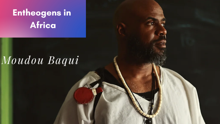 Moudou Baqui on Visionary Plants in Africa