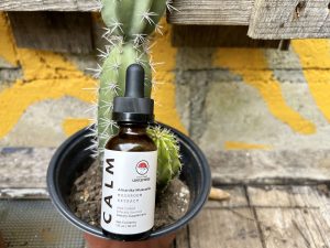"Calm" Amanita Tincture by Psyched Wellness